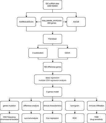 Construction of a hypoxia-immune-related prognostic panel based on integrated single-cell and bulk RNA sequencing analyses in gastric cancer